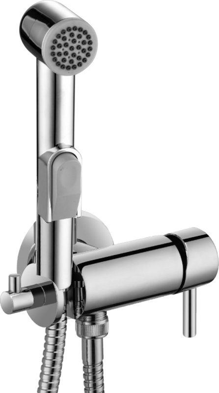 Смеситель встраиваемый с гигиеническим душем Ganzer GZ12402 хром