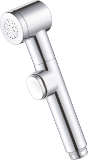 Гигиеническая лейка Ganzer GZ2026, хром