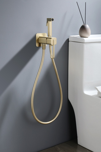 Встраиваемый смеситель с гигиеническим душем Ganzer GZ12157-S матовое золото