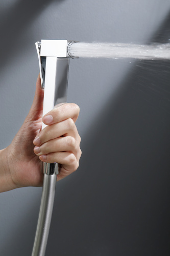 Встраиваемый смеситель с гигиеническим душем Ganzer GZ12157 хром