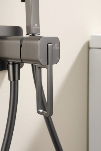 Встраиваемый смеситель с гигиеническим душем Ganzer GZ12157-Q графит