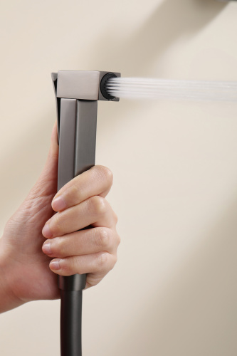 Встраиваемый смеситель с гигиеническим душем Ganzer GZ12157-Q графит