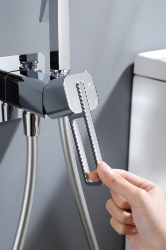 Встраиваемый смеситель с гигиеническим душем Ganzer GZ12157 хром