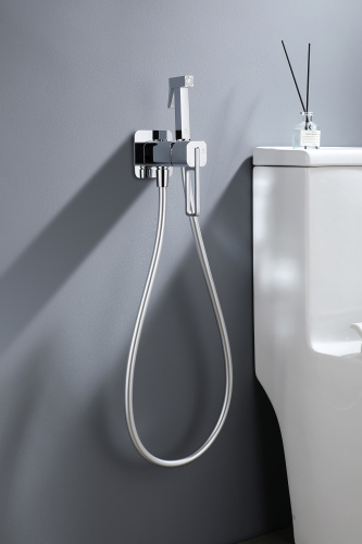 Встраиваемый смеситель с гигиеническим душем Ganzer GZ12157 хром