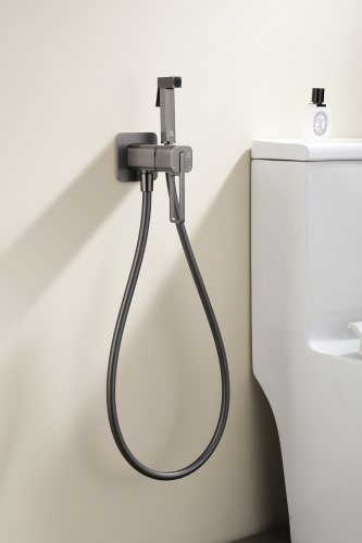 Встраиваемый смеситель с гигиеническим душем Ganzer GZ12157-Q графит