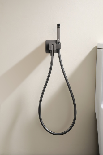 Встраиваемый смеситель с гигиеническим душем Ganzer GZ12157-Q графит