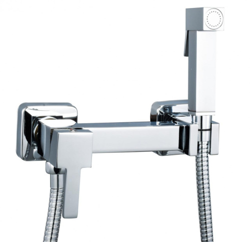 Настенный смеситель с гигиеническим душем DBS/009