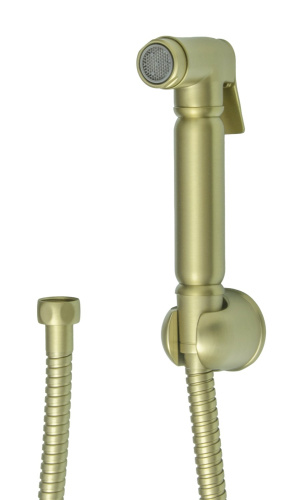 Комплект для биде (лейка, шланг, держатель) Ganzer GZ2111-S Set, матовое золото