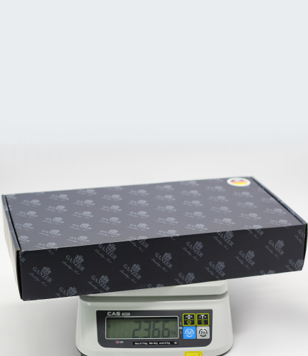 Смеситель для кухни Ganzer GZ12025-A песочный