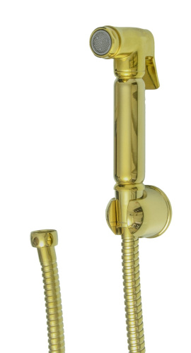 Комплект для биде (лейка, шланг, держатель) Ganzer GZ2111-Е Set