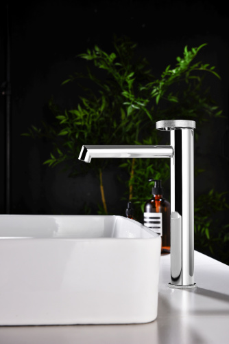 Смеситель однорычажный для раковины-чаши Ganzer GZ19112 хром