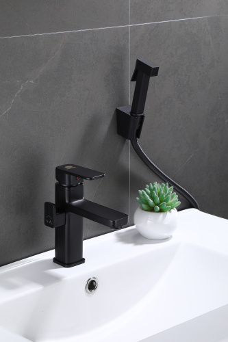 Смеситель для раковины с гигиеническим душем Ganzer GZ12053-C черный