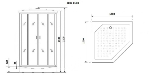 Душевая кабина NG-6002-01GD (1000х1000х2200) низкий поддон(16 см) стекло ПРОЗРАЧНОЕ, 4 места