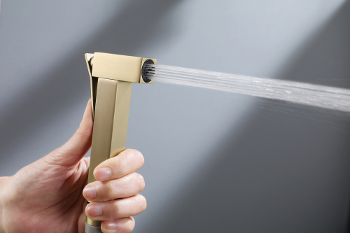 Встраиваемый смеситель с гигиеническим душем Ganzer GZ12157-S матовое золото