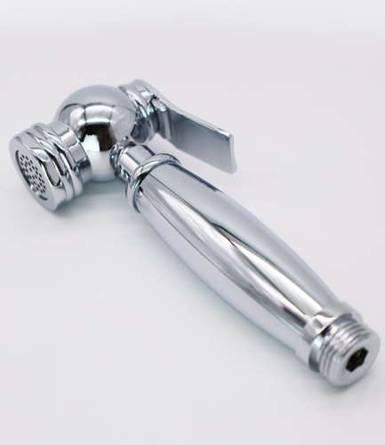 Смеситель для раковины с гигиеническим душем Ganzer GZ77051 хром