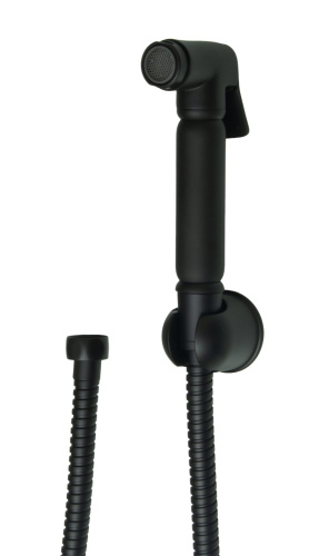 Комплект для биде (лейка, шланг, держатель) Ganzer GZ2111-C Set