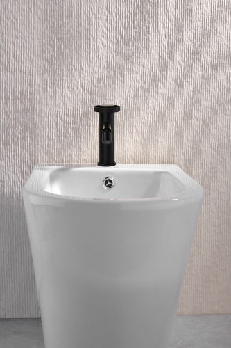 19151-C Смеситель на биде (ЧЕРНЫЙ) GANZER  (10/1шт)