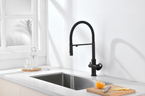 Смеситель Ganzer GZ19127-C кухня гибкий излив черный