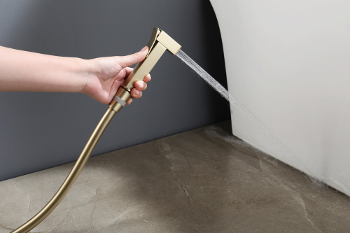 Встраиваемый смеситель с гигиеническим душем Ganzer GZ12157-S матовое золото