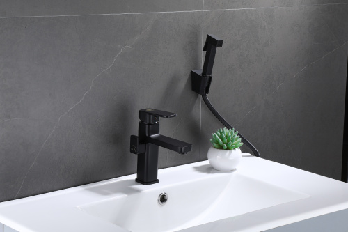 Смеситель для раковины с гигиеническим душем Ganzer GZ12053-C черный