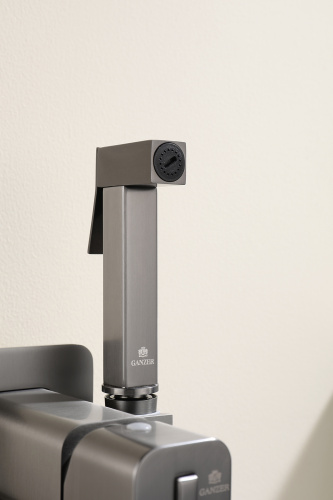 Встраиваемый смеситель с гигиеническим душем Ganzer GZ12157-Q графит