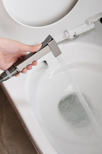 Встраиваемый смеситель с гигиеническим душем Ganzer GZ12157-Q графит