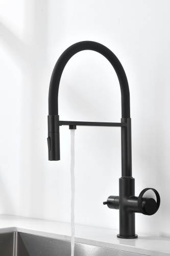 Смеситель Ganzer GZ19127-C кухня гибкий излив черный