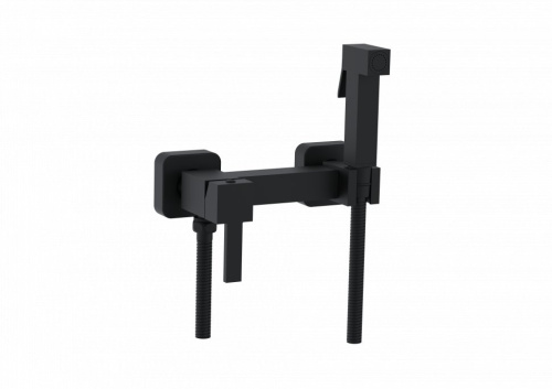 Настенный смеситель с гигиеническим душем DBS/001