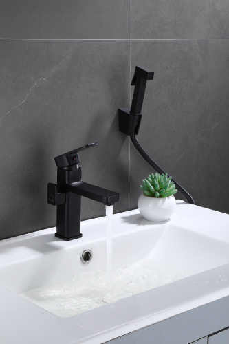 Смеситель для раковины с гигиеническим душем Ganzer GZ12053-C черный