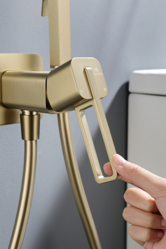 Встраиваемый смеситель с гигиеническим душем Ganzer GZ12157-S матовое золото