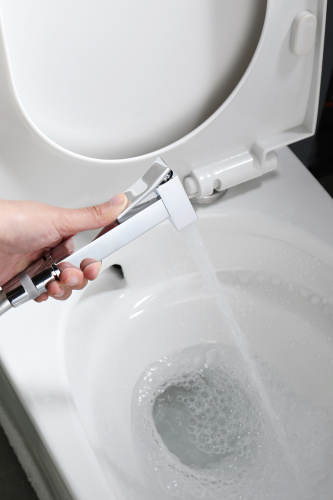 Встраиваемый смеситель с гигиеническим душем Ganzer GZ12157 хром