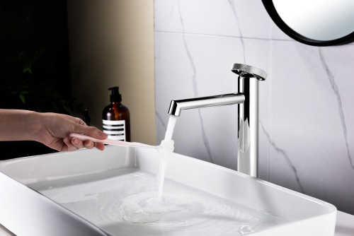 Смеситель однорычажный для раковины-чаши Ganzer GZ19112 хром