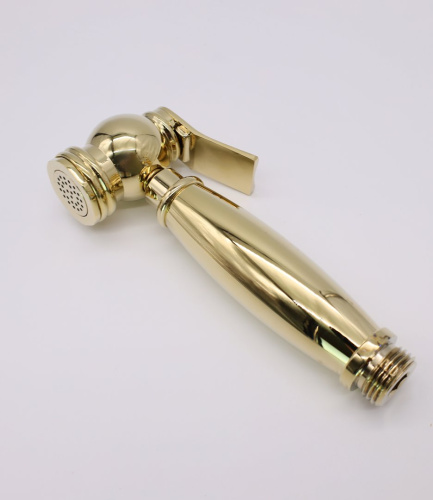 Смеситель для раковины с гигиеническим душем Ganzer GZ77051-E золото