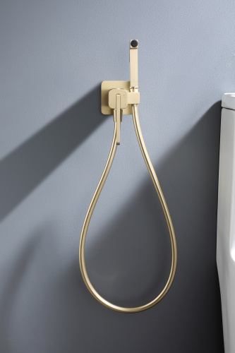 Встраиваемый смеситель с гигиеническим душем Ganzer GZ12157-S матовое золото