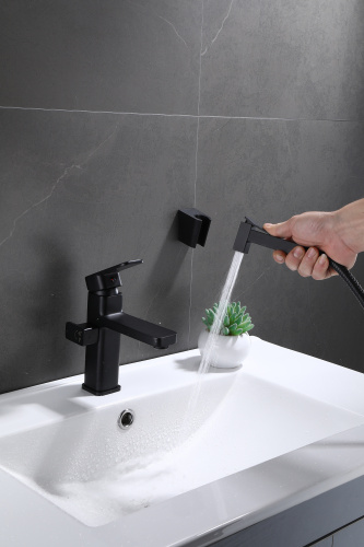 Смеситель для раковины с гигиеническим душем Ganzer GZ12053-C черный