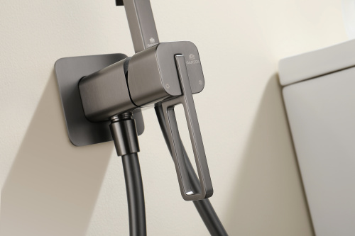 Встраиваемый смеситель с гигиеническим душем Ganzer GZ12157-Q графит