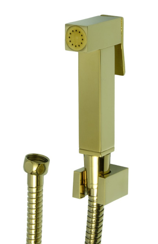 Комплект для биде (лейка, шланг, держатель) Ganzer GZ-2139-Е Set золото