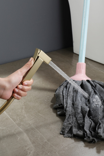 Встраиваемый смеситель с гигиеническим душем Ganzer GZ12157-S матовое золото