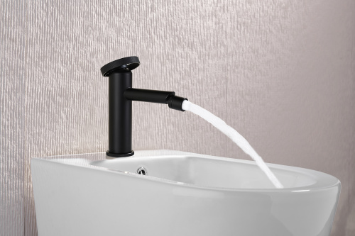 19151-C Смеситель на биде (ЧЕРНЫЙ) GANZER  (10/1шт)