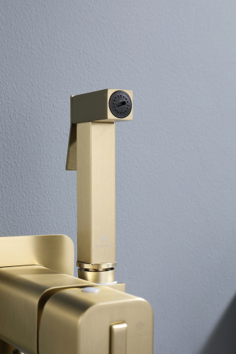 Встраиваемый смеситель с гигиеническим душем Ganzer GZ12157-S матовое золото